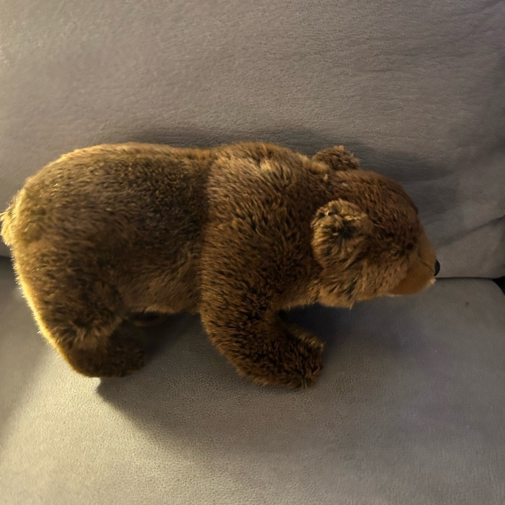 We kind Ganz  signature Endangered Brown Bear plush EUC
